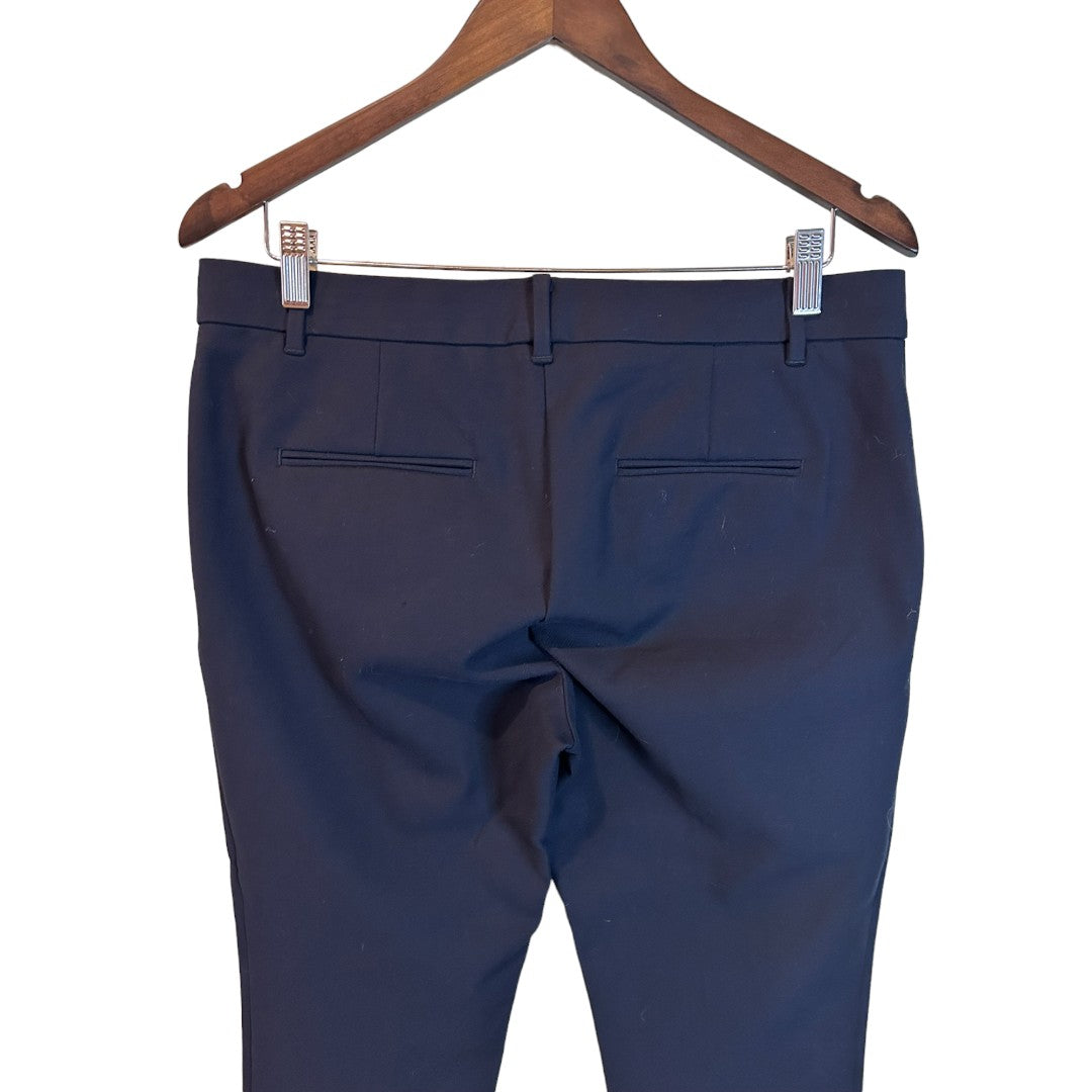 Ann Taylor Navy Eva Ankle Pants