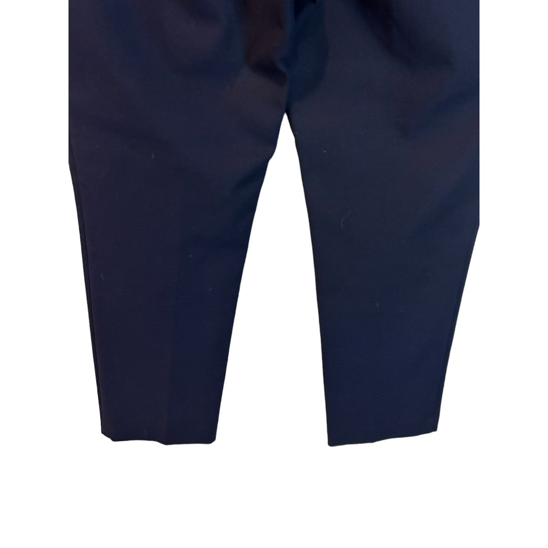 Ann Taylor Navy Eva Ankle Pants