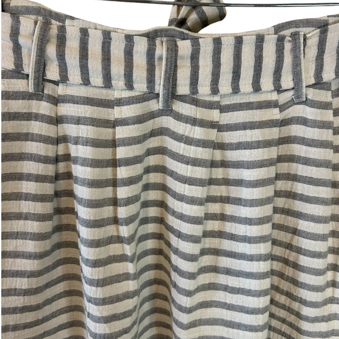 Francesca's Blue Rain Striped Button-Front Skirt with Tie Waist