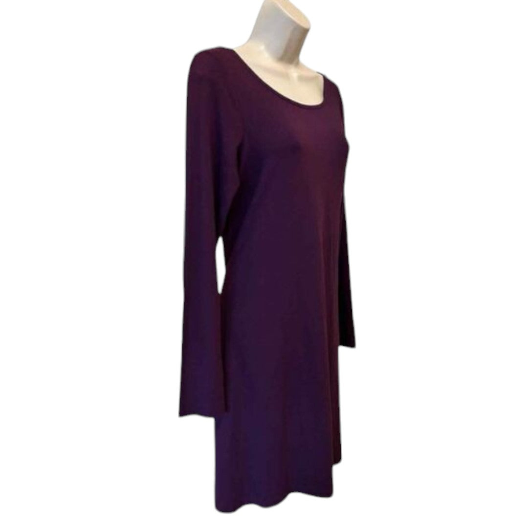 Express Long Sleeve Dress