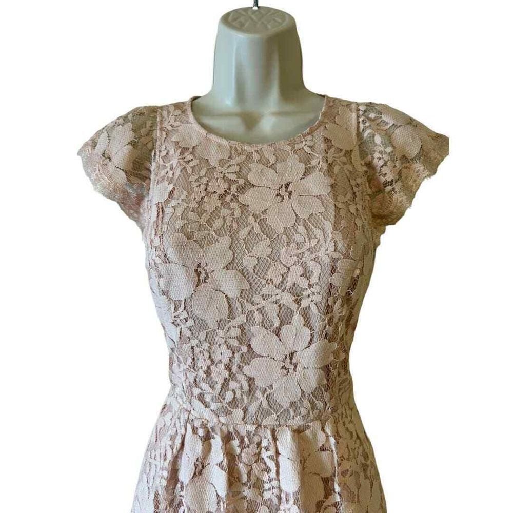 BCBGeneration Blush Floral Lace Overlay Open Back Dress - Haute Poppy