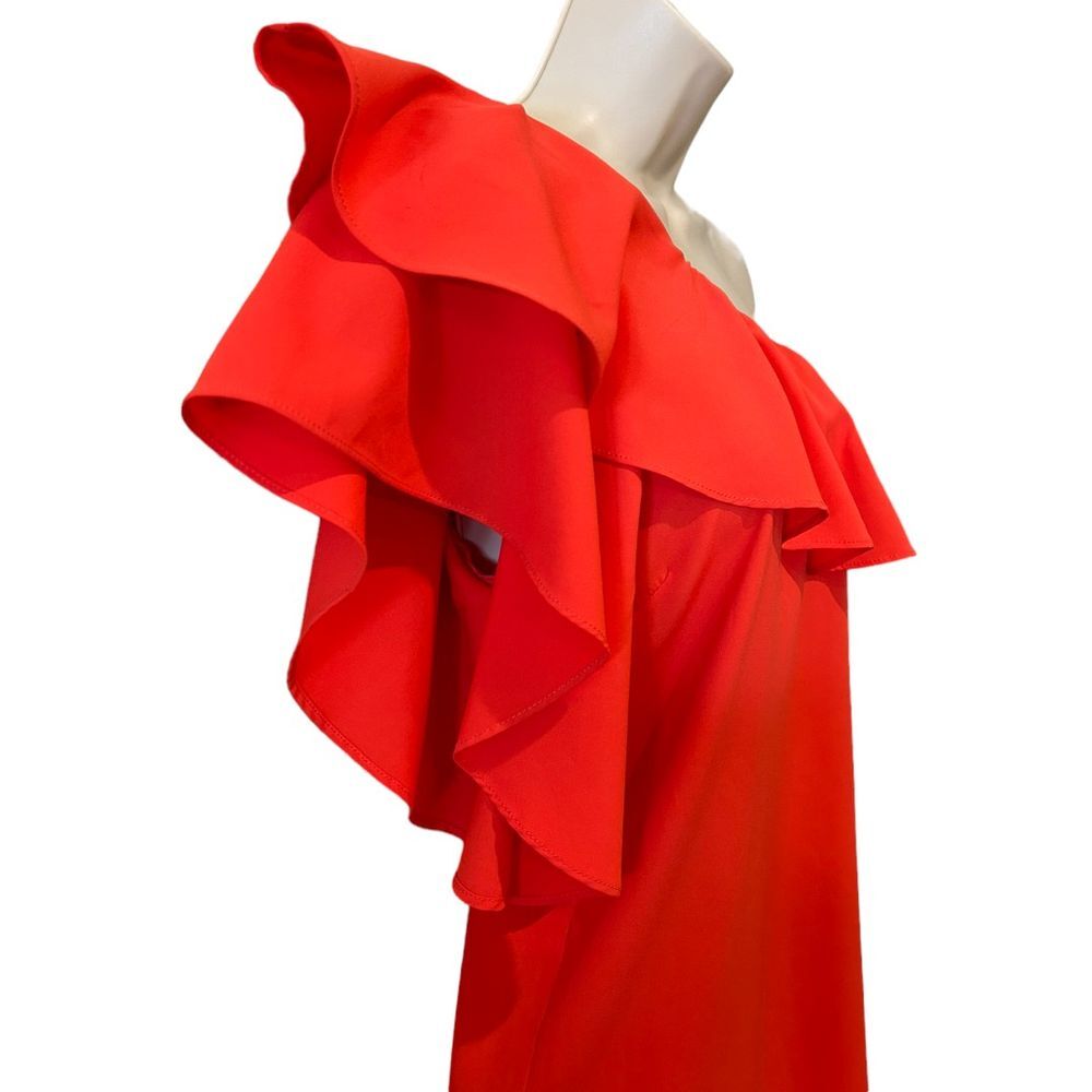 Gianni Bini One Shoulder Ruffle Dress - Haute Poppy