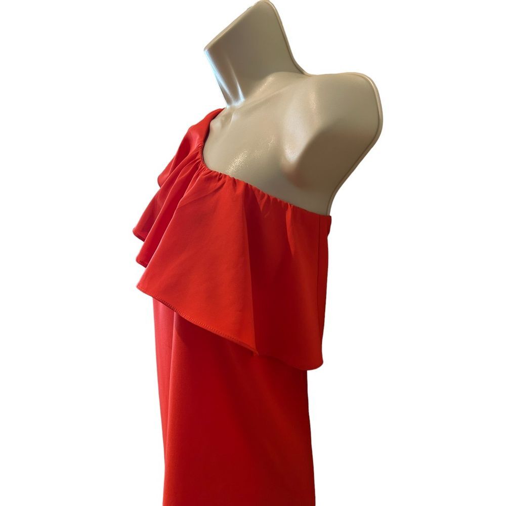 Gianni Bini One Shoulder Ruffle Dress - Haute Poppy