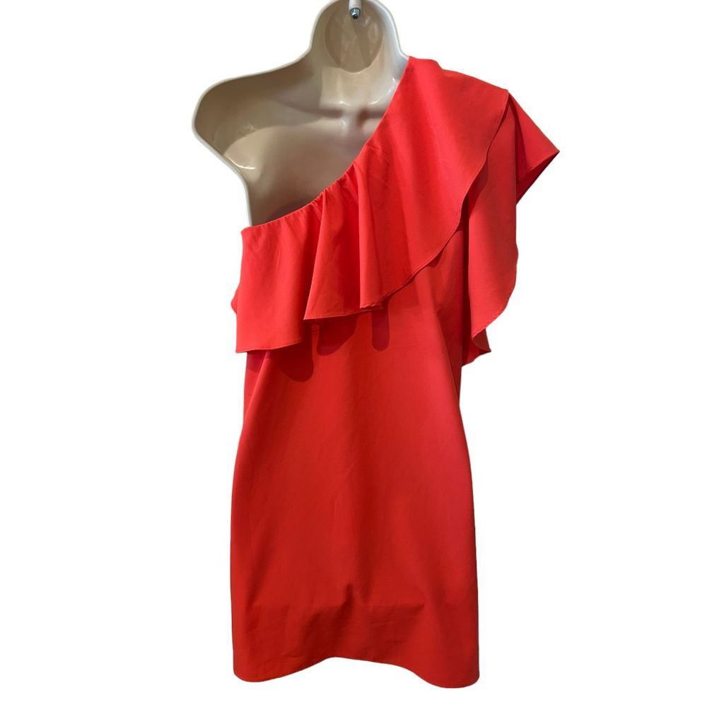Gianni Bini One Shoulder Ruffle Dress - Haute Poppy