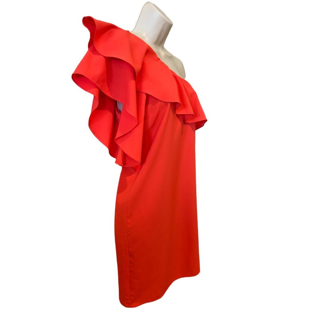 Gianni Bini One Shoulder Ruffle Dress - Haute Poppy