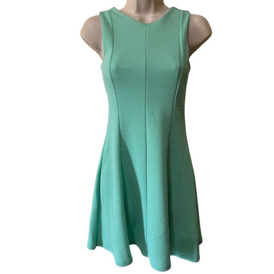 Sage Fit and Flare Dress Sleeveless Textured Mint Green Dress - Haute Poppy