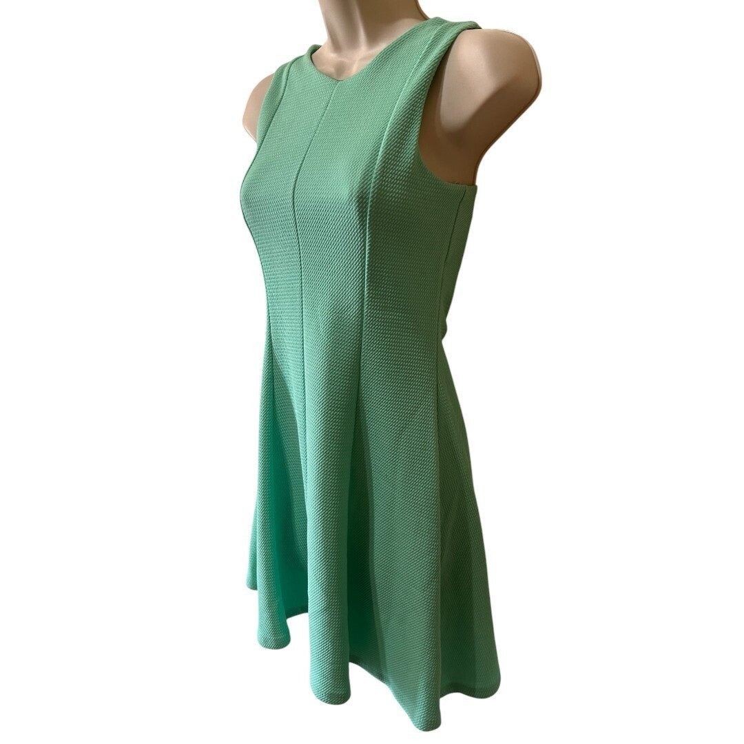 Sage Fit and Flare Dress Sleeveless Textured Mint Green Dress - Haute Poppy