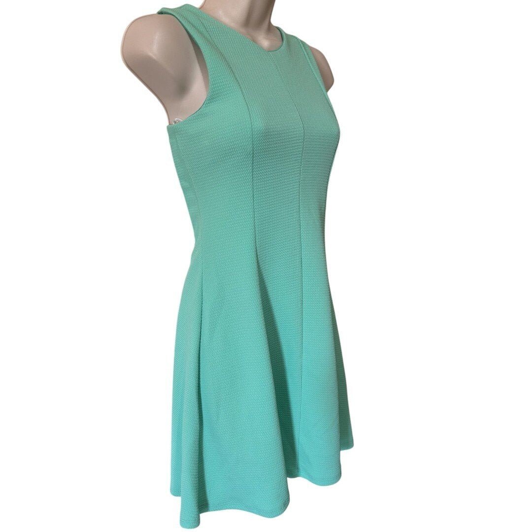 Sage Fit and Flare Dress Sleeveless Textured Mint Green Dress - Haute Poppy