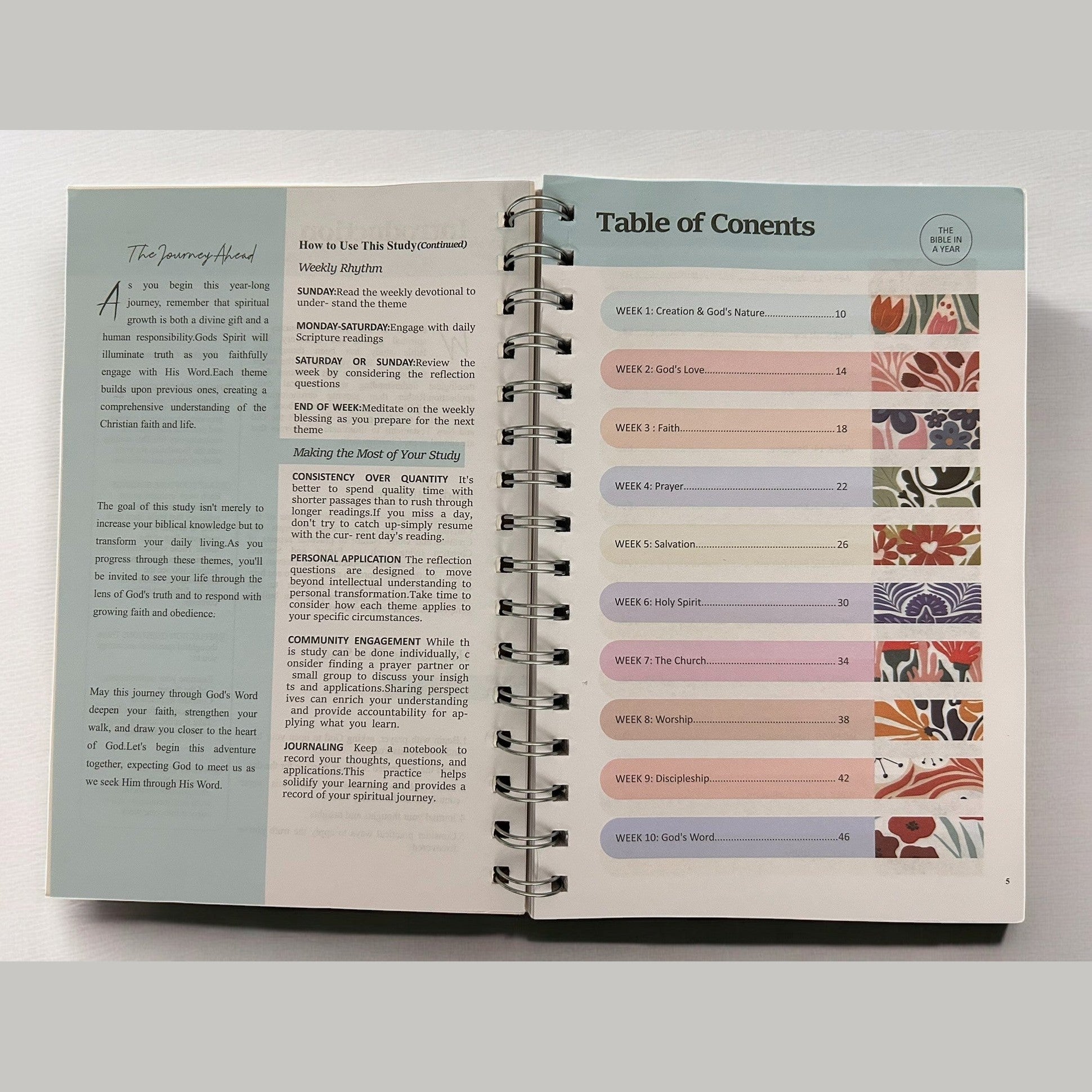 The Bible In A Year - Haute Poppy