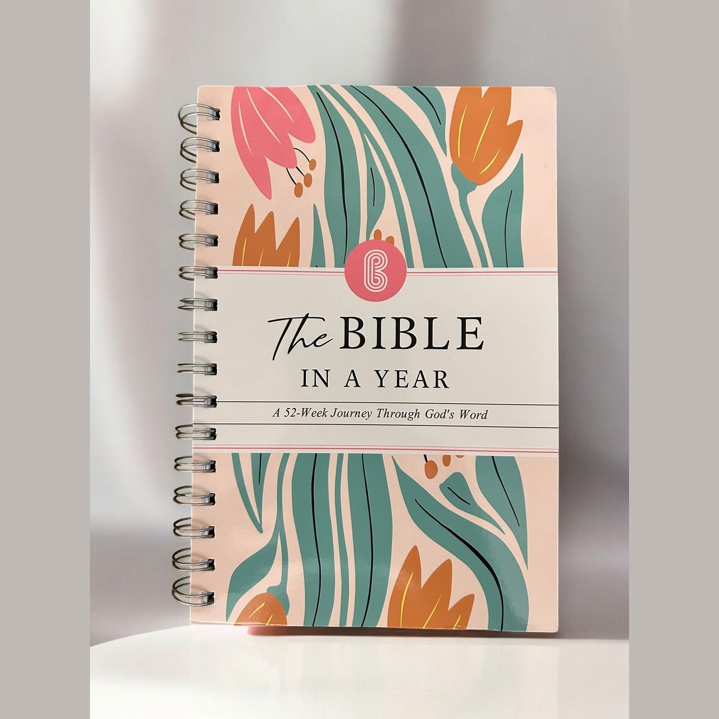 The Bible In A Year - Haute Poppy