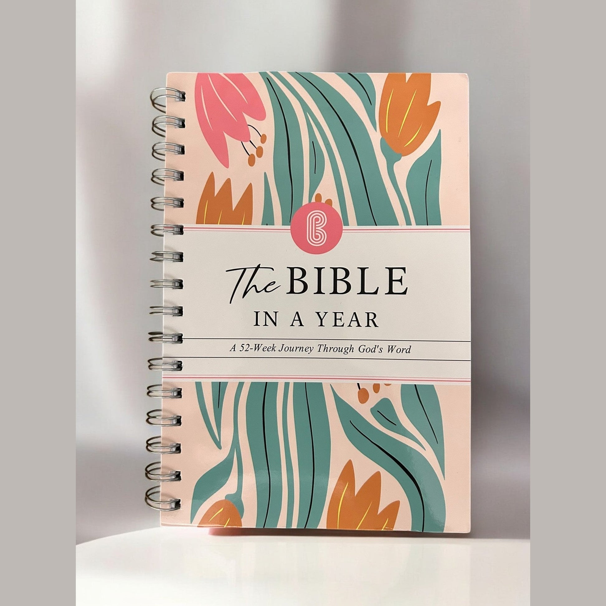 The Bible In A Year - Haute Poppy