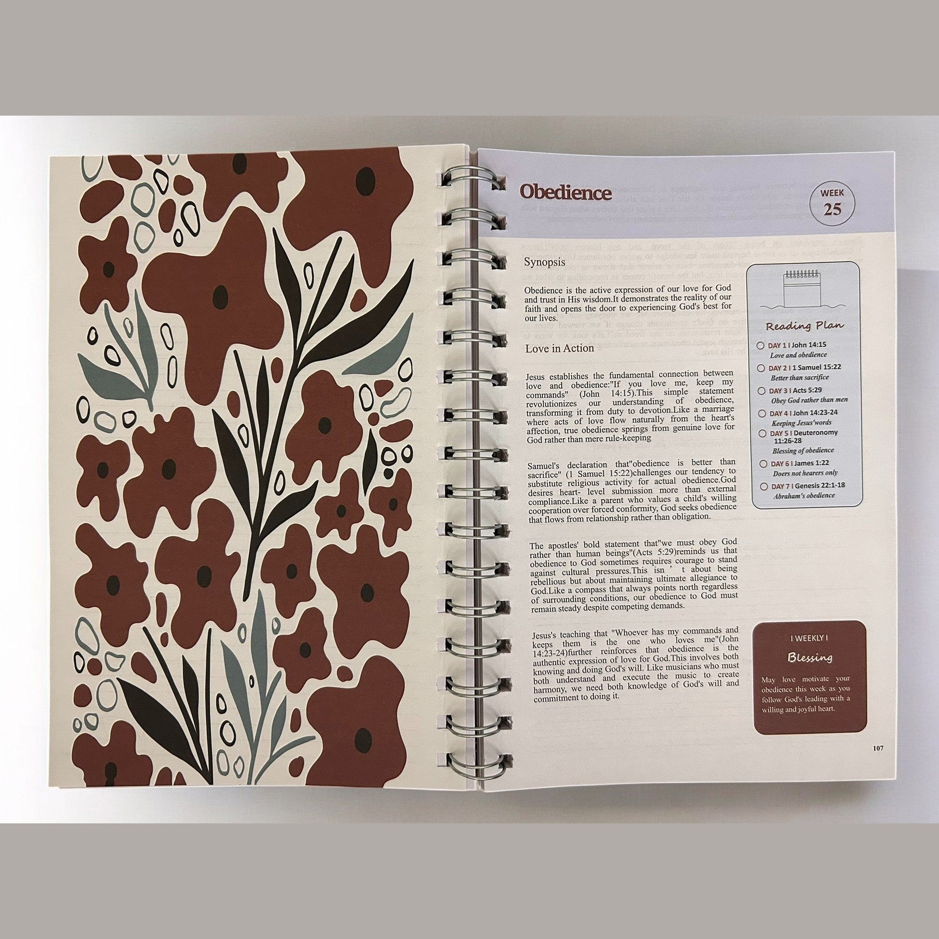 The Bible In A Year - Haute Poppy